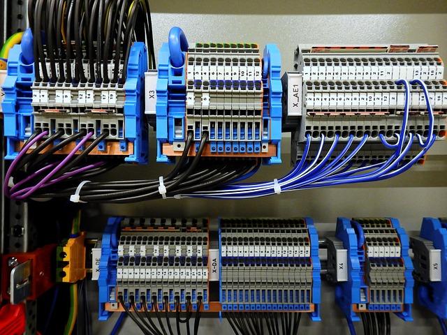 distributor elektra