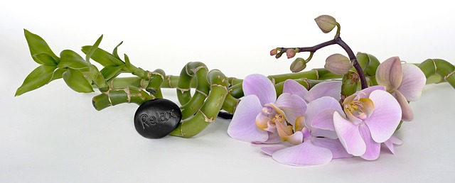orchidej