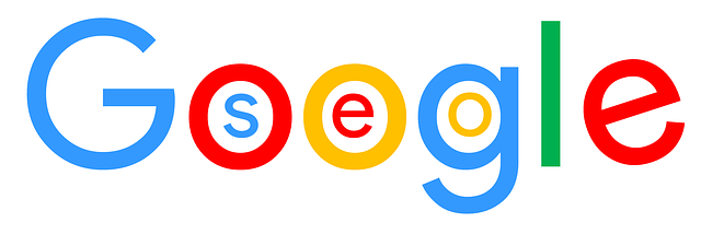 seo v google
