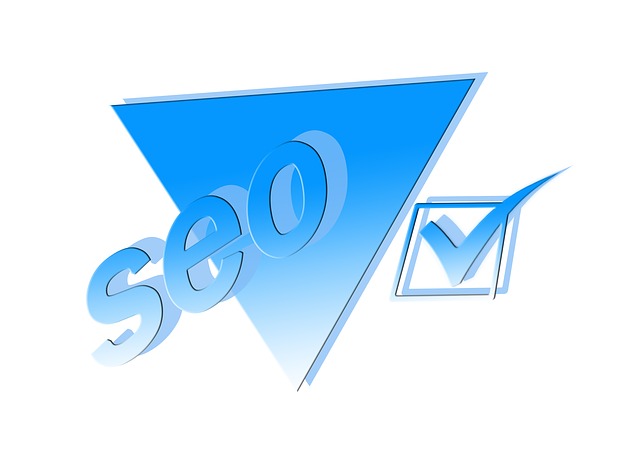 seo vyhledávač.jpg